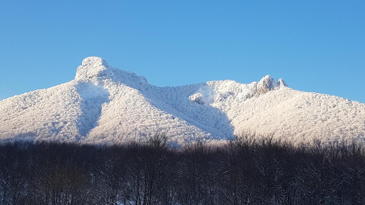 St. Hubert Hunting Lodge Ogulin Exteriör bild